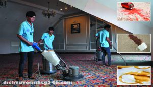 Giặt Thảm Tại Quận 10 Tphcm